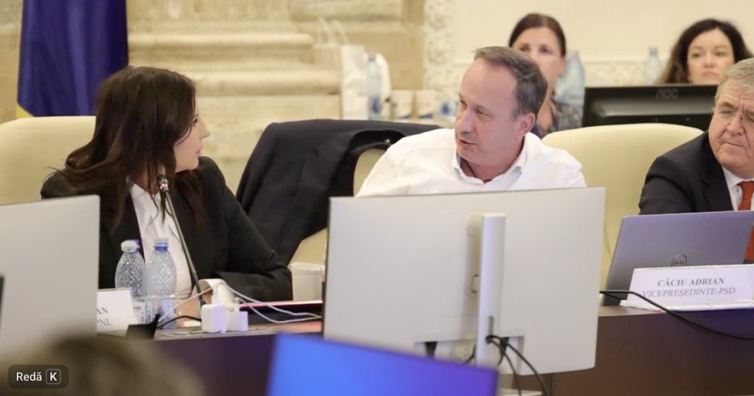 Derapaj în Parlament: Câciu a lovit cu pumnul în masă și a țipat către președinta comisiei de buget: „Vreau...