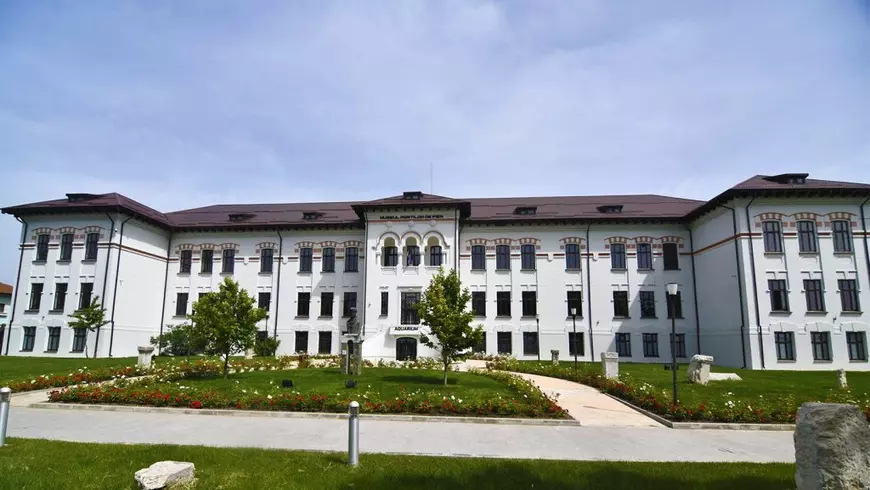 Sustragerea a 552 de bunuri de patrimoniu din aur și argint de la muzeul din Drobeta Turnu Severin