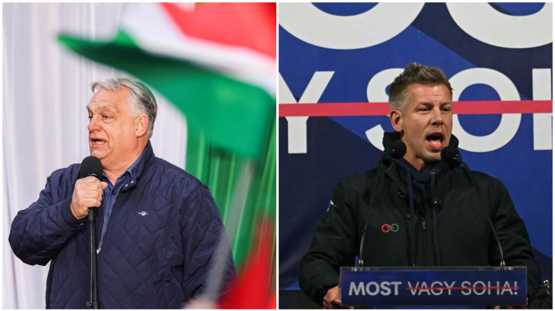 „Un semn al corupției: zebre, avere și putere în alegerile din Ungaria”